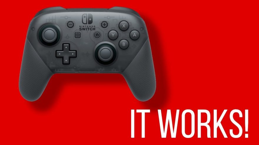 Nintendo Switch Pro Controller PC
